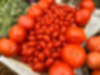 Tomato 1.jpg