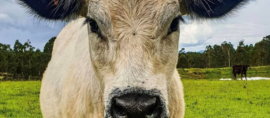 Yesterday... a day on the farm