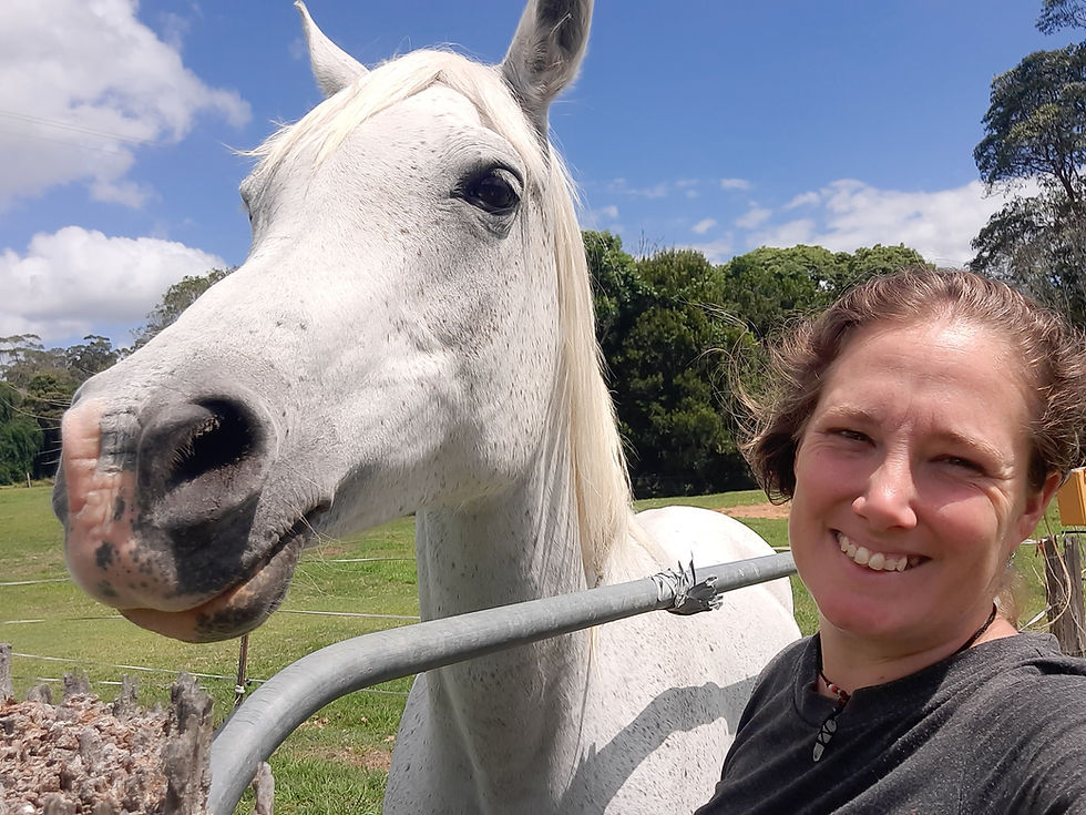 Types of Horse Ownership: Where do you see yourself?