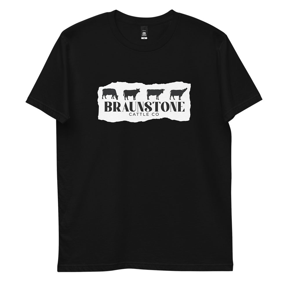 Thumbnail: Braunstone 2 Men's staple tee (white)