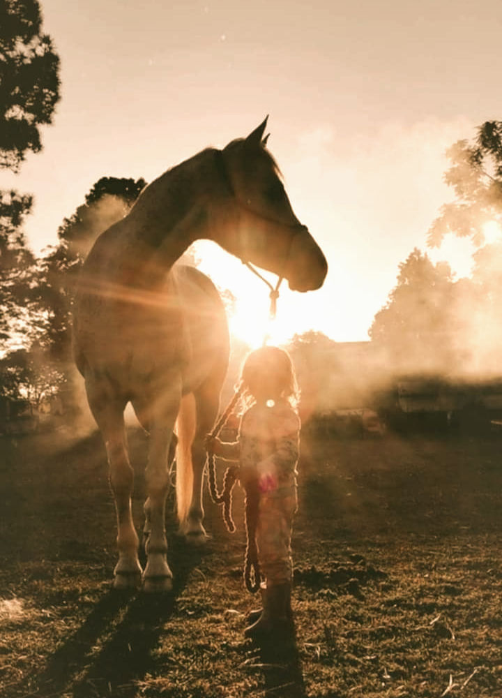 Child holding lead rope of a horse, with sun streaming through