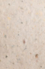 Seed Paper_edited_edited.jpg