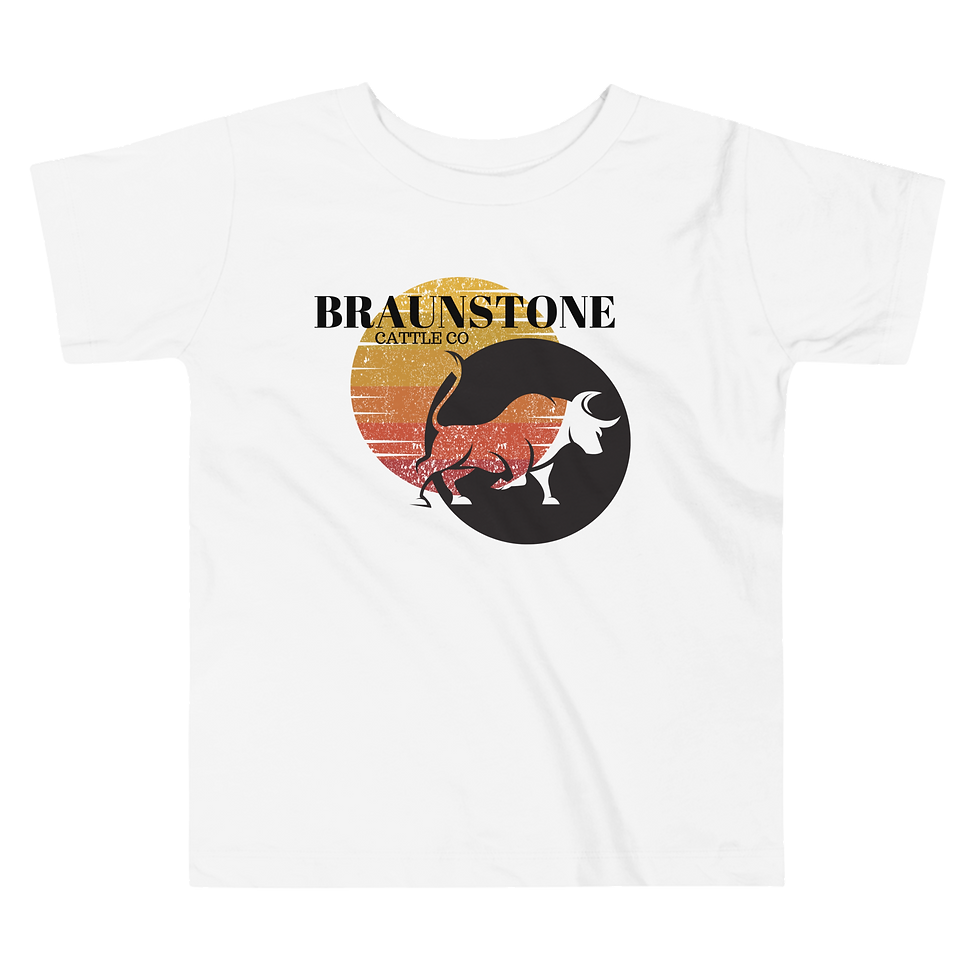 Thumbnail: Braunstone Sunset Toddler Short Sleeve Tee