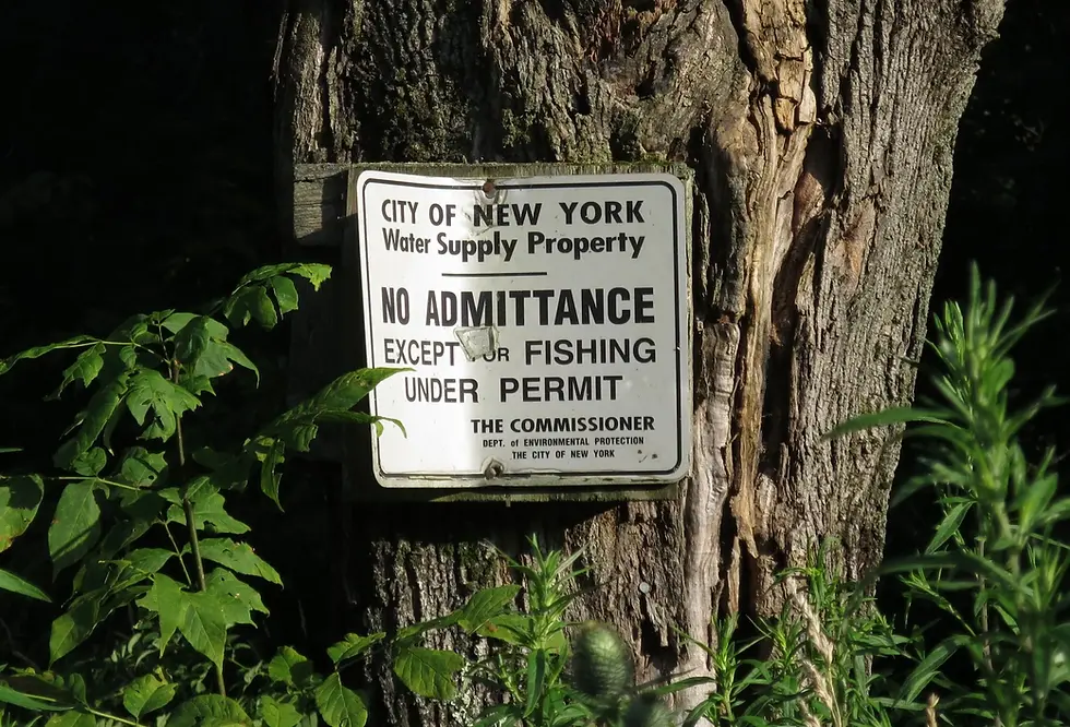 Sustentabilidade de mananciais