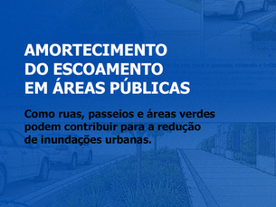 Amortecimento do escoamento em Áreas Públicas 