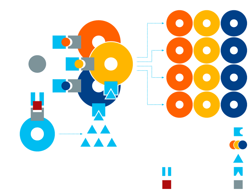 img-novel-approach.png