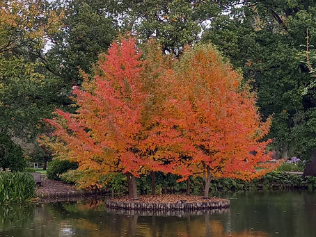 Why I love autumn