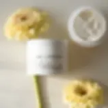 Byelines Gesichtscreme mit Centella, Hamamelis, Vitamin E und D-Panthenol