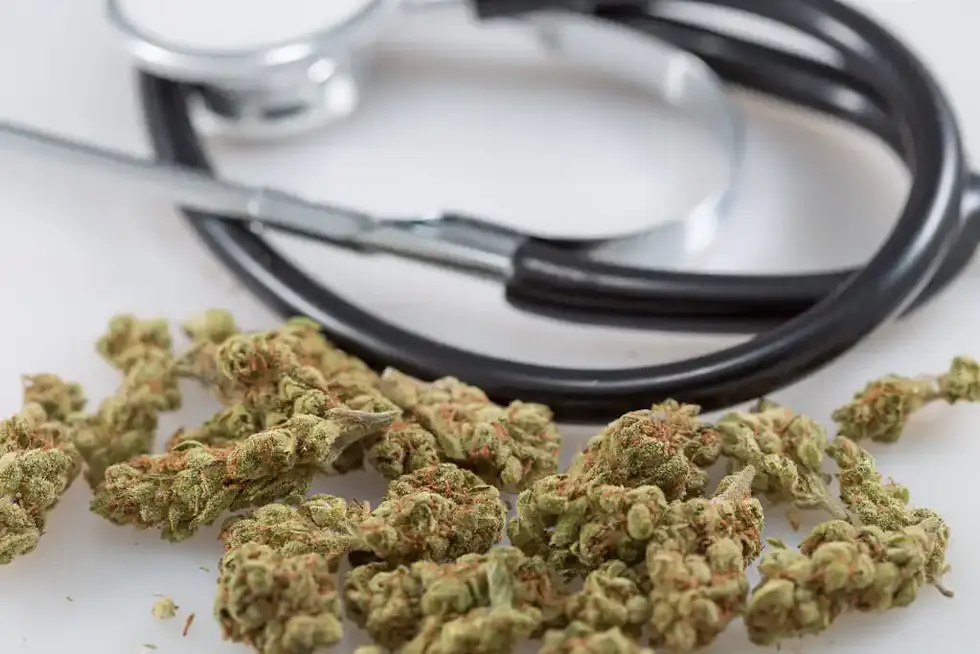 Maryland Bill Allowing Veterinarians to Discuss Cannabis Products for Pets Takes Effect