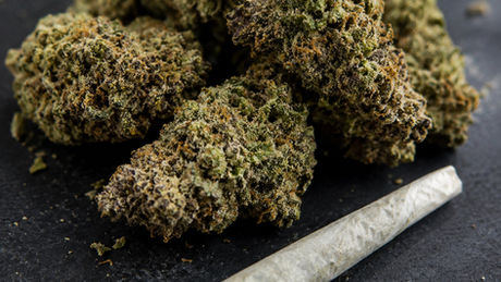 Half of Kentucky’s Licensed Medical Cannabis Dispensaries Have Opened