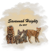 Savannah Heightz logo