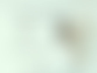 一体どれが本業なの?