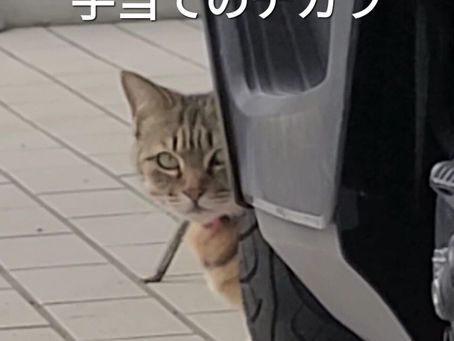 手当てのチカラ―がんの痛みをやわらげる