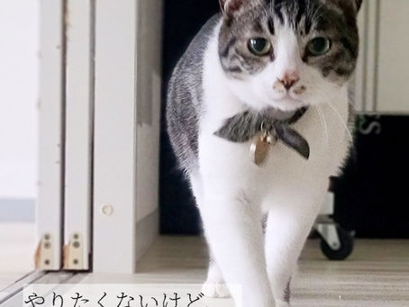 やりたくないけど、生活のため…仕方ない?(前編)