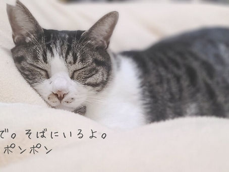 苦しいとき、閉じないで