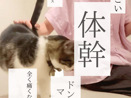 ものすごい体幹!ドンピシャマッサージ。痛くない鍼