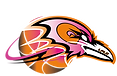 Fichier 1.png