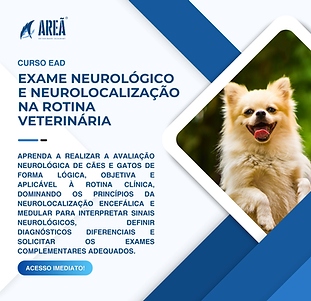 Criativo Cursos EAD (2).png