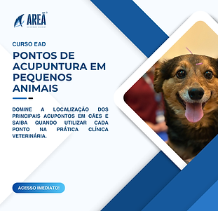 Criativo Cursos EAD (1).png