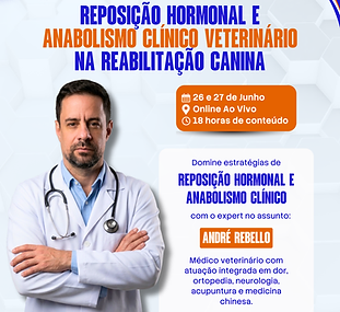 Capa cursos Areã 2026 (5).png