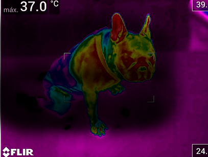 TERMOGRAFIA.png