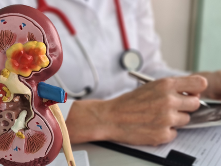 🧫 Doenças Renais em Pequenos Animais: Como a Bioquímica e a Urinálise Revelam o que o Corpo Esconde