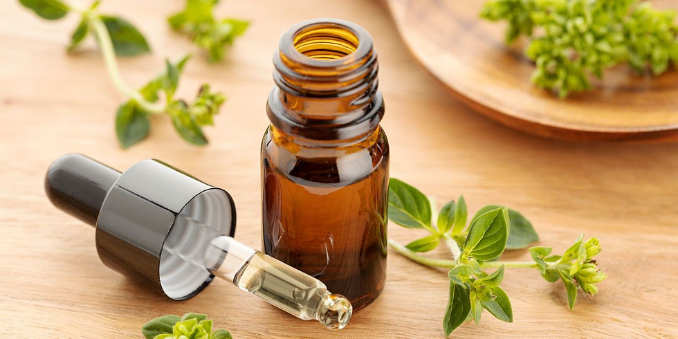 Óleo de Vetiver protege contra toxicidade causada por cisplatina: implicações para a medicina integrativa