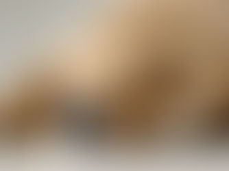 Golden retriever puppy sleeping