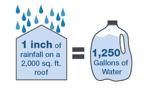 Rooftop rainwater capture