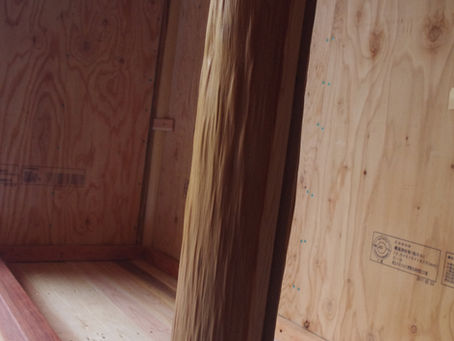 北山杉天然絞り丸太