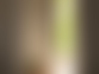 Refresh Your Space, Refresh Your Life: Spring Feng Shui Tips