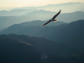 Why Wanting Freedom Is Not Enough: What Chinese Astrology Can Teach Us About Success