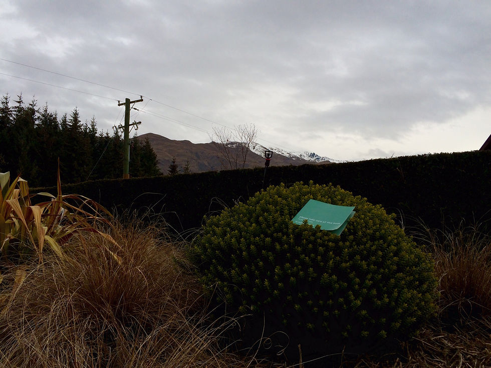 South Island, New Zealand