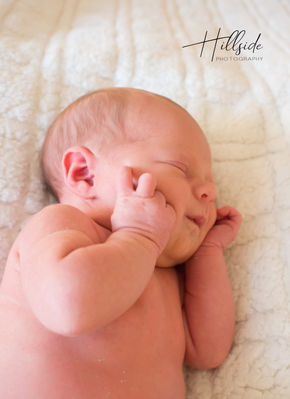 Ellanalogo (14 of 1).jpg