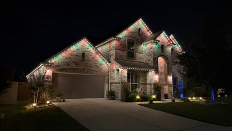 Holiday & Color