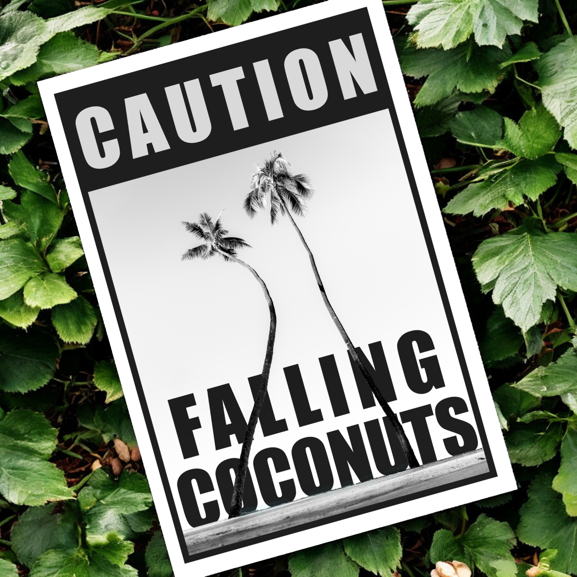 Coconut Caution Canvas Print Poster