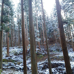 ドローン物資輸送