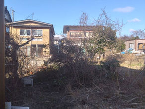 庭木の伐採、整地