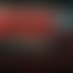 East Durham Lions Men's NBL Team 