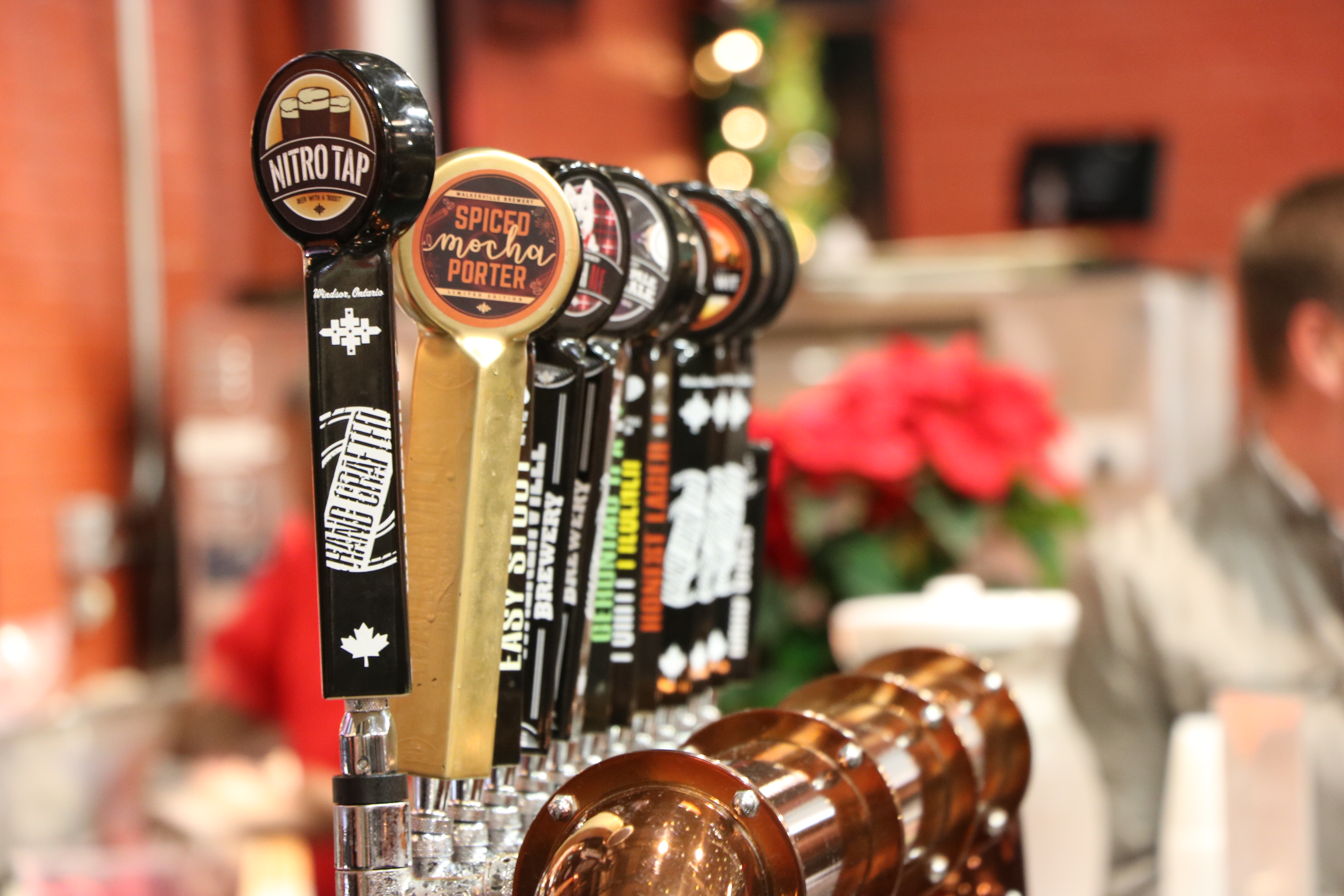 Spiced Mocha Porter