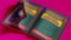 Plural Portfolio-11_edited.jpg