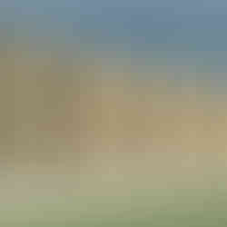 Planning granted for barn conversion