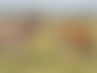 Let them have the last word - the grass is blue