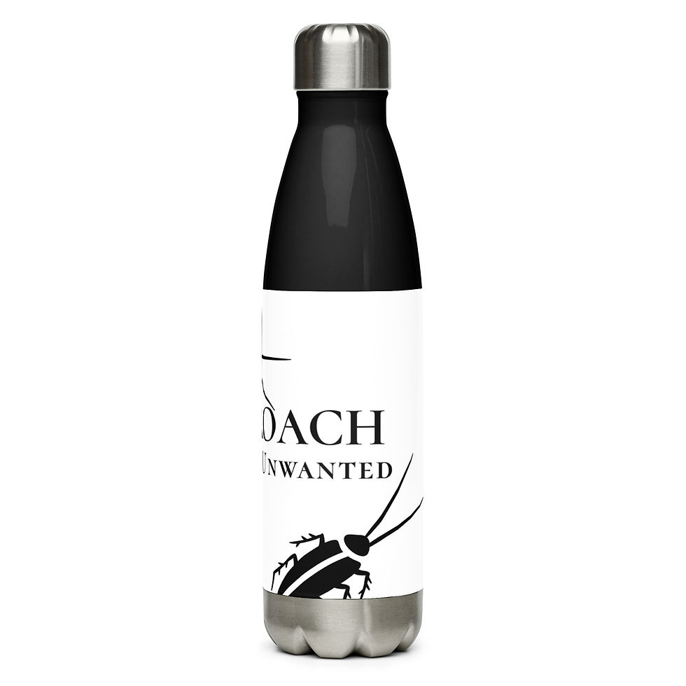 Thumbnail: Stainless Steel Water Bottle