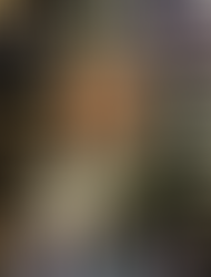 THE DIBIASE: The Tuxedo Collection of the Million Dollar Man