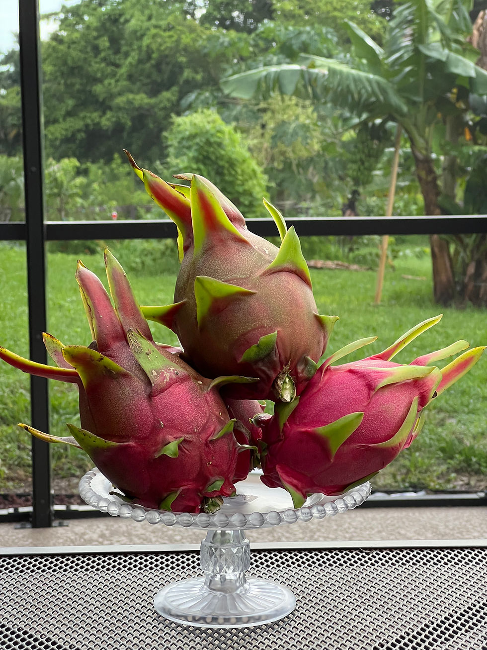Thumbnail: Magenta & Red Dragon Fruits