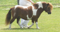 Capture d’écran 2022-01-19 à 07.22.41.png