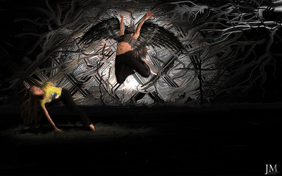 Miniatura: COLECCIÓN - EVOLUCIÓNES