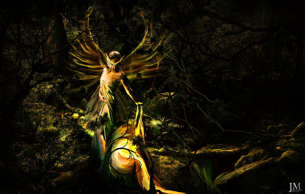 Miniatura: COLECCIÓN - EVOLUCIÓNES