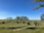 Lipton Memorial Gardens